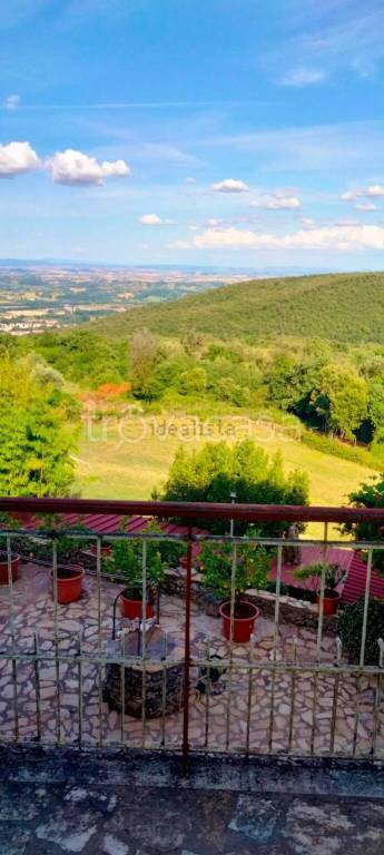 appartamento in affitto a Sovicille