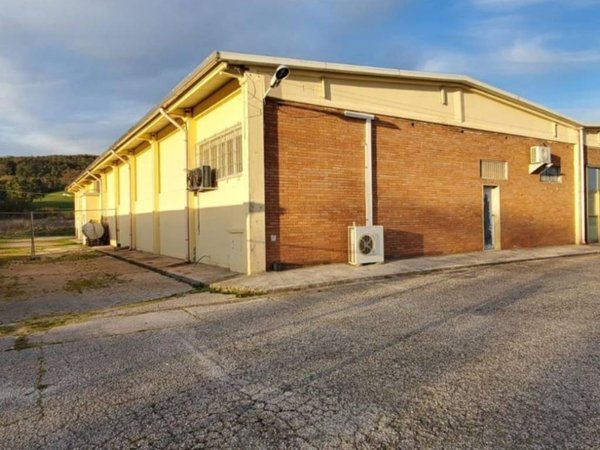 locale commerciale in affitto a Campagnatico