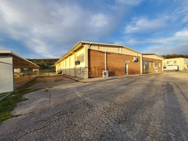 ufficio in affitto a Campagnatico