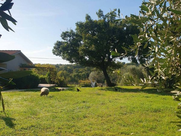 casa indipendente in affitto a Campagnatico