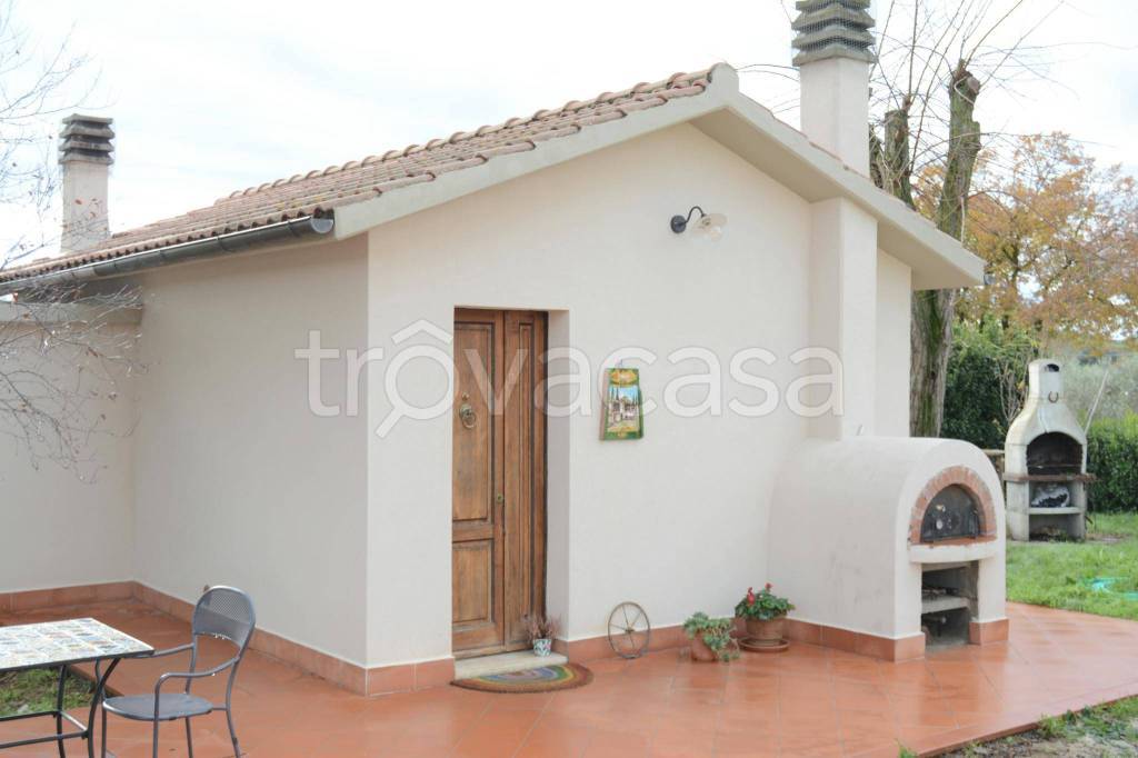 casa indipendente in affitto a Campagnatico