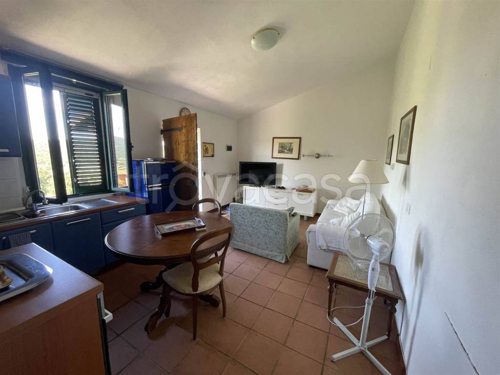 appartamento in affitto a Campagnatico