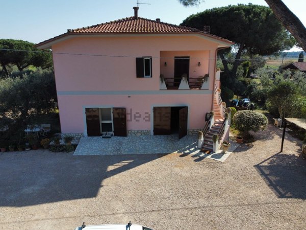 appartamento in affitto a Capalbio