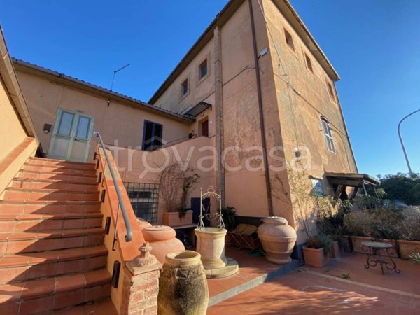 appartamento in affitto a Capalbio