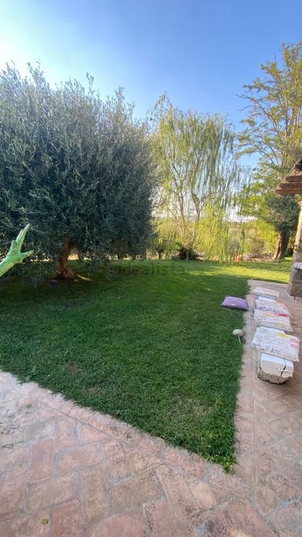 casa indipendente in affitto a Capalbio