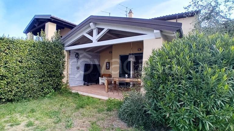 appartamento in affitto a Capalbio