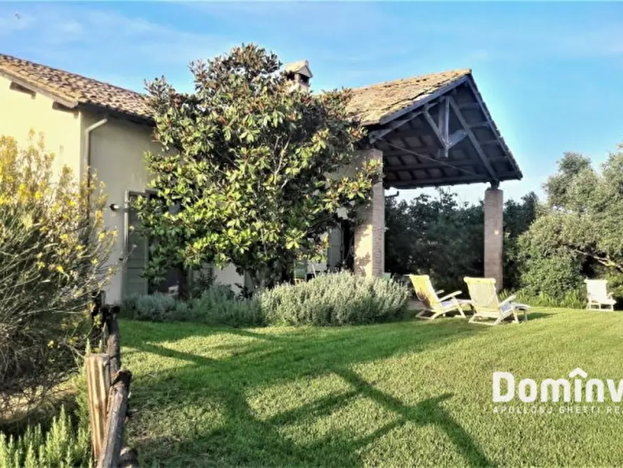 casa indipendente in affitto a Capalbio