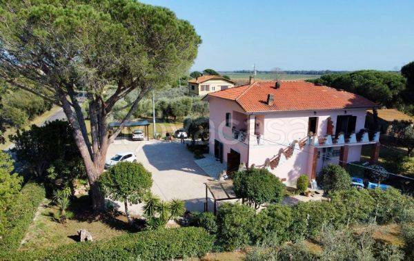 appartamento in affitto a Capalbio in zona Pescia Fiorentina