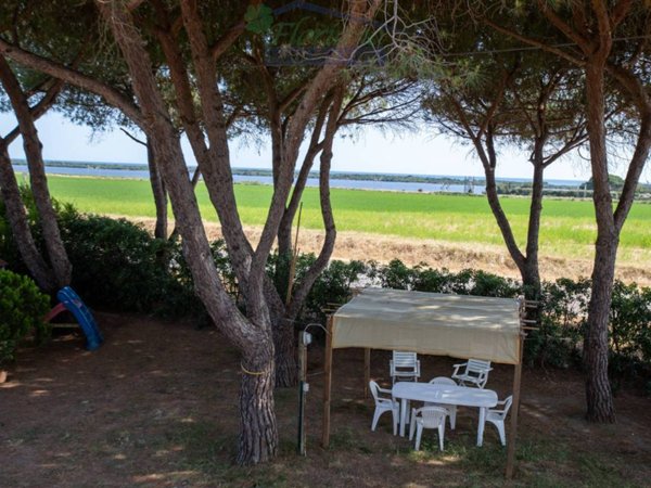 appartamento in affitto a Capalbio