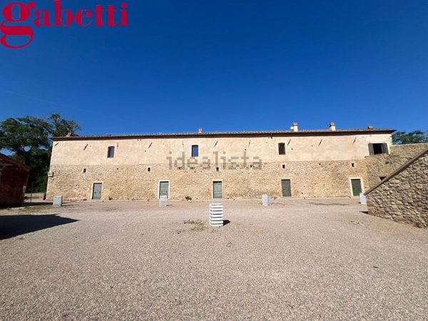 appartamento in affitto a Capalbio