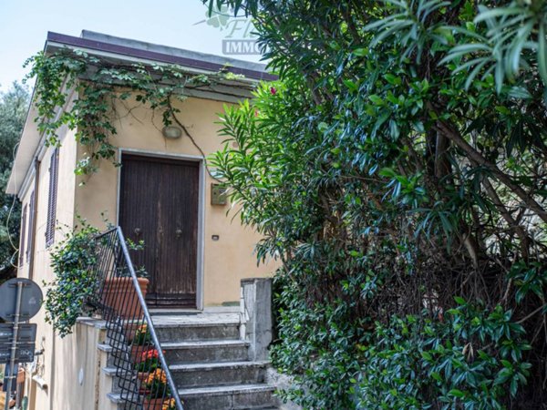 appartamento in affitto a Capalbio