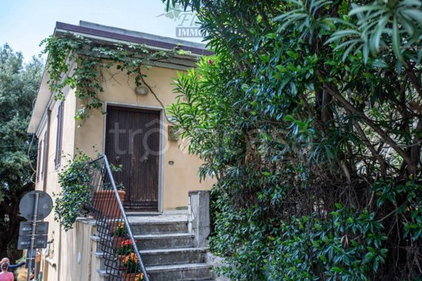 appartamento in affitto a Capalbio