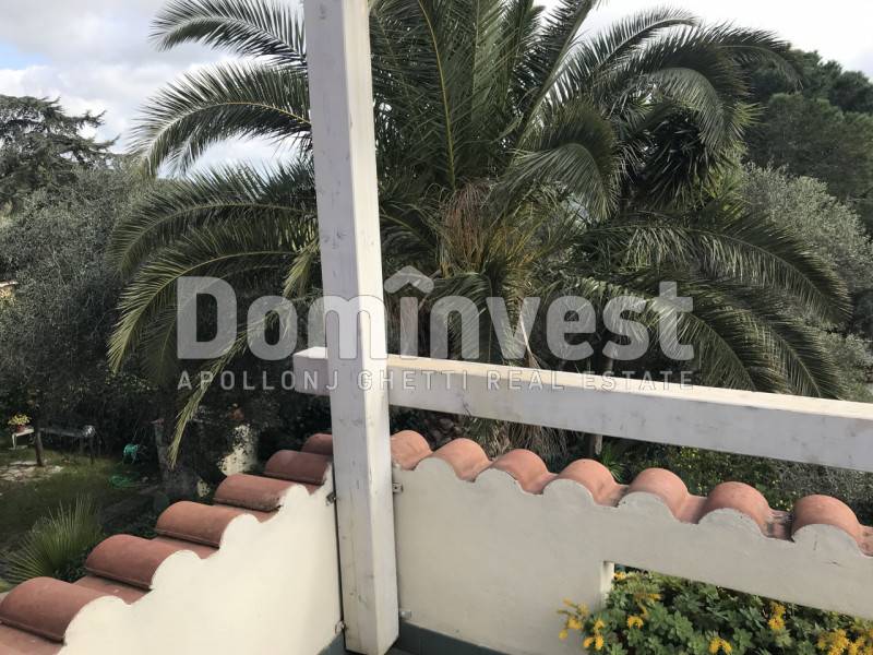 appartamento in affitto a Capalbio