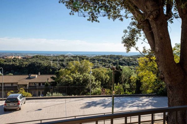 appartamento in affitto a Capalbio