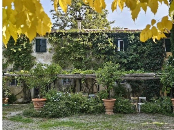 casa indipendente in affitto a Capalbio in zona Pescia Fiorentina