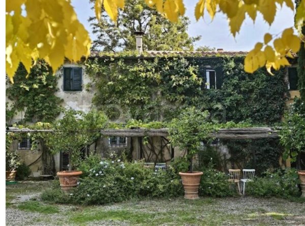 casa indipendente in affitto a Capalbio in zona Pescia Fiorentina
