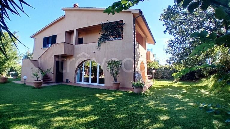 appartamento in affitto a Capalbio in zona Borgo Carige