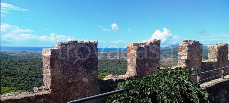 appartamento in affitto a Capalbio