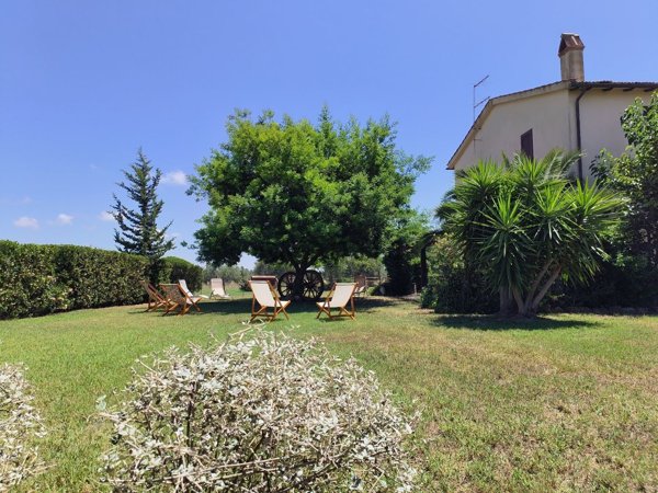 appartamento in affitto a Capalbio