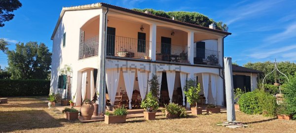 casa indipendente in affitto a Capalbio