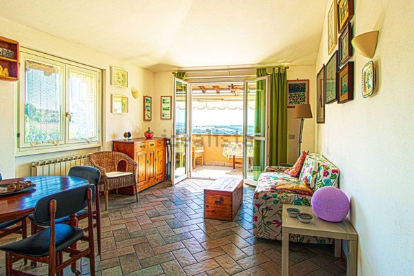 appartamento in affitto a Capalbio