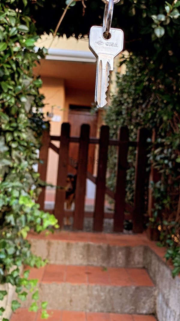 appartamento in affitto a Capalbio