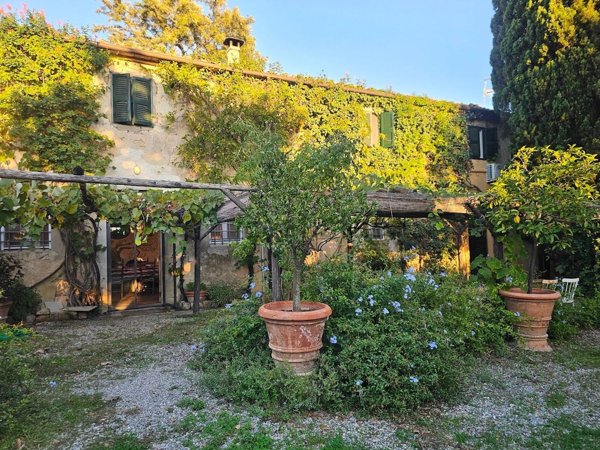 casa indipendente in affitto a Capalbio in zona Pescia Fiorentina