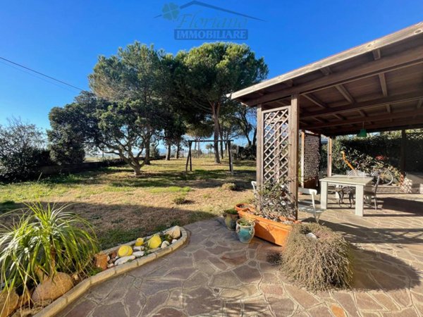 appartamento in affitto a Capalbio