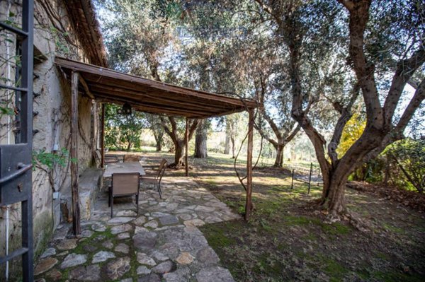 appartamento in affitto a Capalbio in zona Pescia Fiorentina