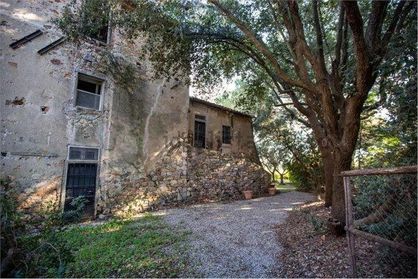casa indipendente in affitto a Capalbio in zona Pescia Fiorentina