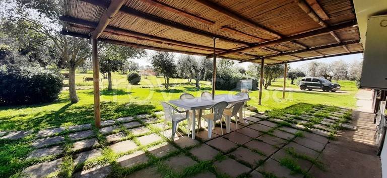 casa indipendente in affitto a Capalbio in zona Borgo Carige