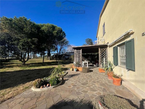 appartamento in affitto a Capalbio