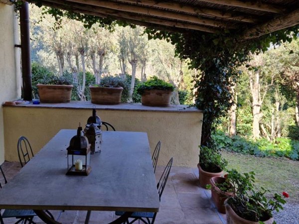 casa indipendente in affitto a Capalbio