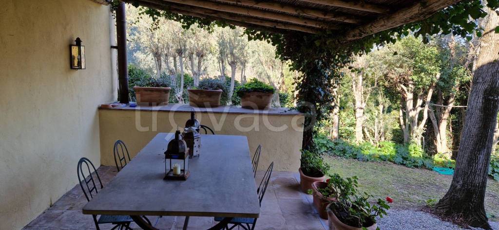 casa indipendente in affitto a Capalbio