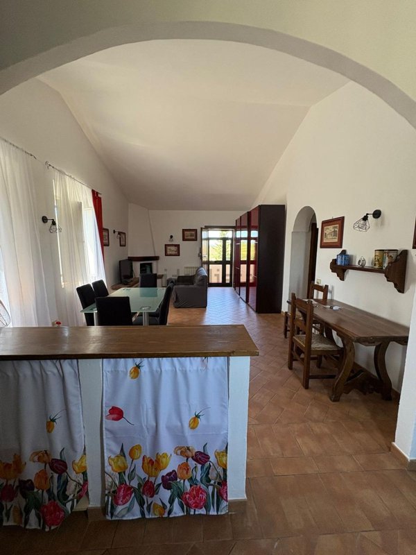 appartamento in affitto a Capalbio