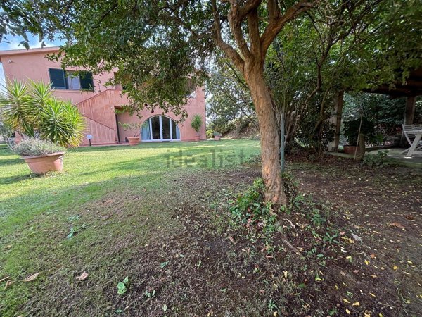 appartamento in affitto a Capalbio