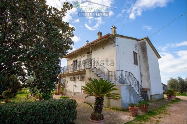 appartamento in affitto a Capalbio