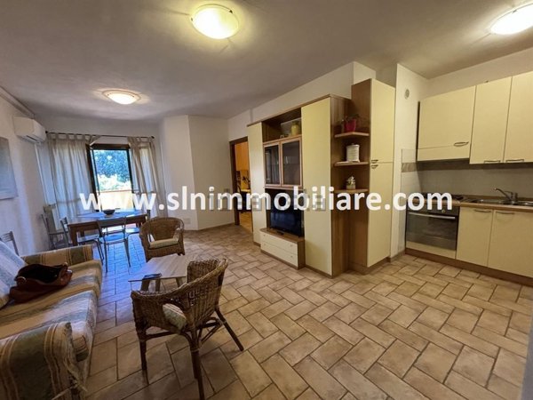 appartamento in affitto a Capalbio