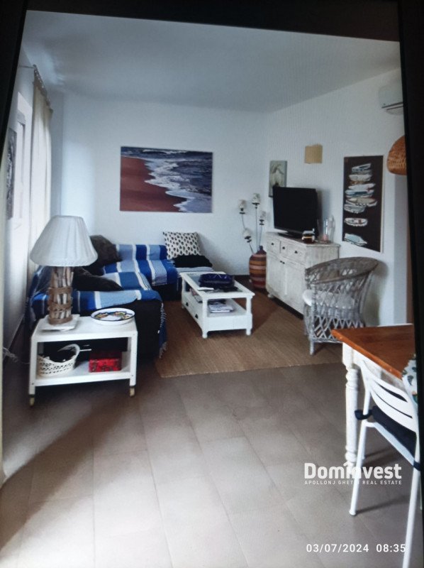 appartamento in affitto a Capalbio