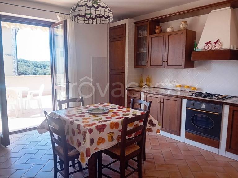 appartamento in affitto a Capalbio