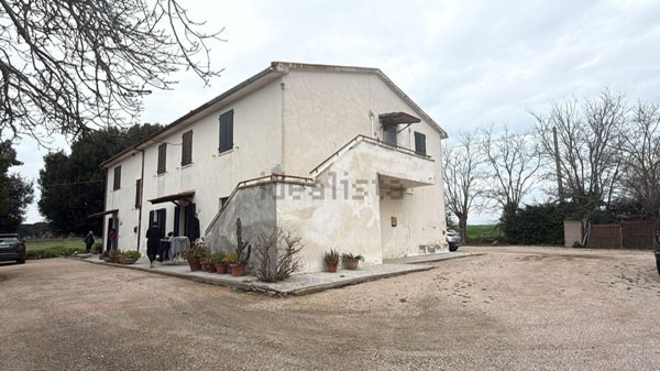 appartamento in affitto a Capalbio