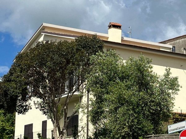 appartamento in affitto a Capalbio