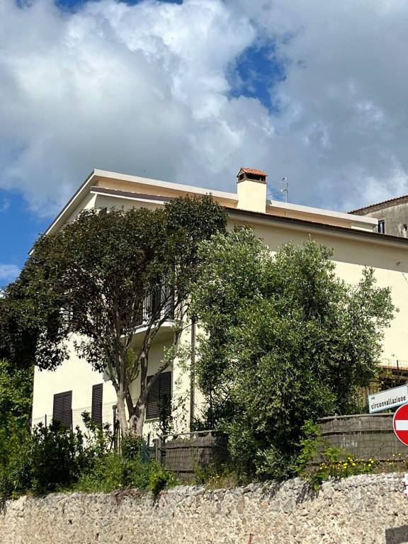 appartamento in affitto a Capalbio