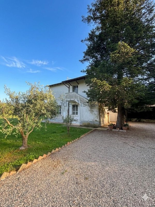 casa indipendente in affitto a Capalbio
