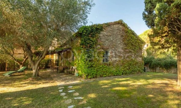 casa indipendente in affitto a Capalbio in zona Pescia Fiorentina