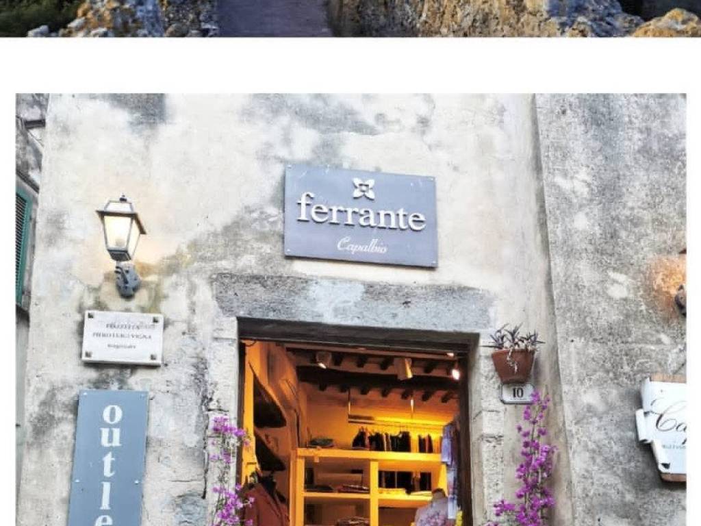 negozio in affitto a Capalbio