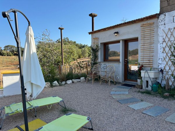 appartamento in affitto a Capalbio