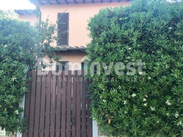 casa indipendente in affitto a Capalbio