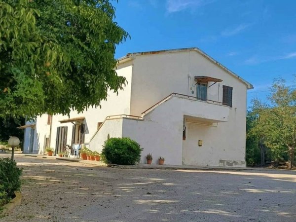 appartamento in affitto a Capalbio