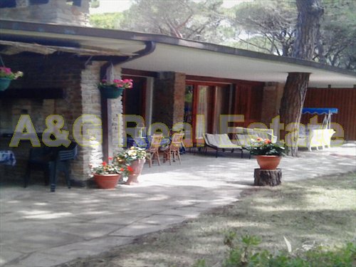 casa indipendente in affitto a Castiglione della Pescaia in zona Roccamare